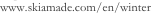 shapeimage_3_link_2